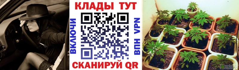 Купить наркоту Бахчисарай АМФ Героин Alpha-PVP Галлюциногенные грибы ГАШ Меф Марихуана