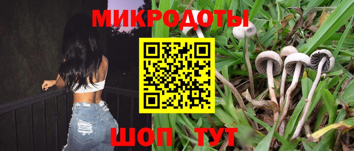 Галлюциногенные грибы Psilocybe Бахчисарай